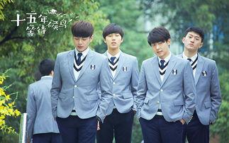 十五年等待的候鸟演员表,青春记忆里的那些面孔