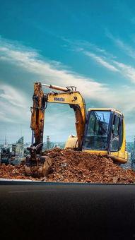 小松图片,探寻自然之美与和谐共生