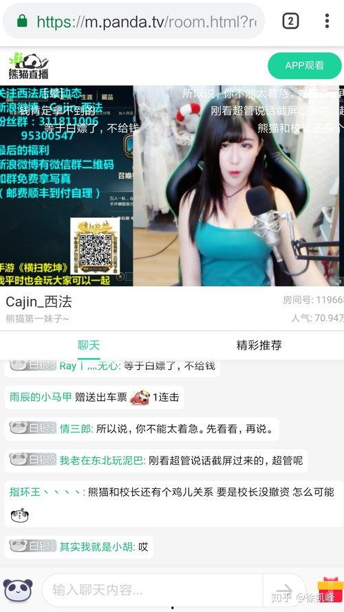 熊猫直播女主播诈骗,熊猫直播背后的陷阱与警示